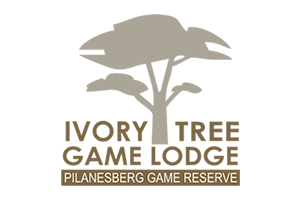 Ivory-Tree-Game-Lodge